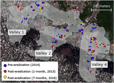 Significant Genetic Impacts Accompany an Urban Rat Control Campaign in Salvador, Brazil